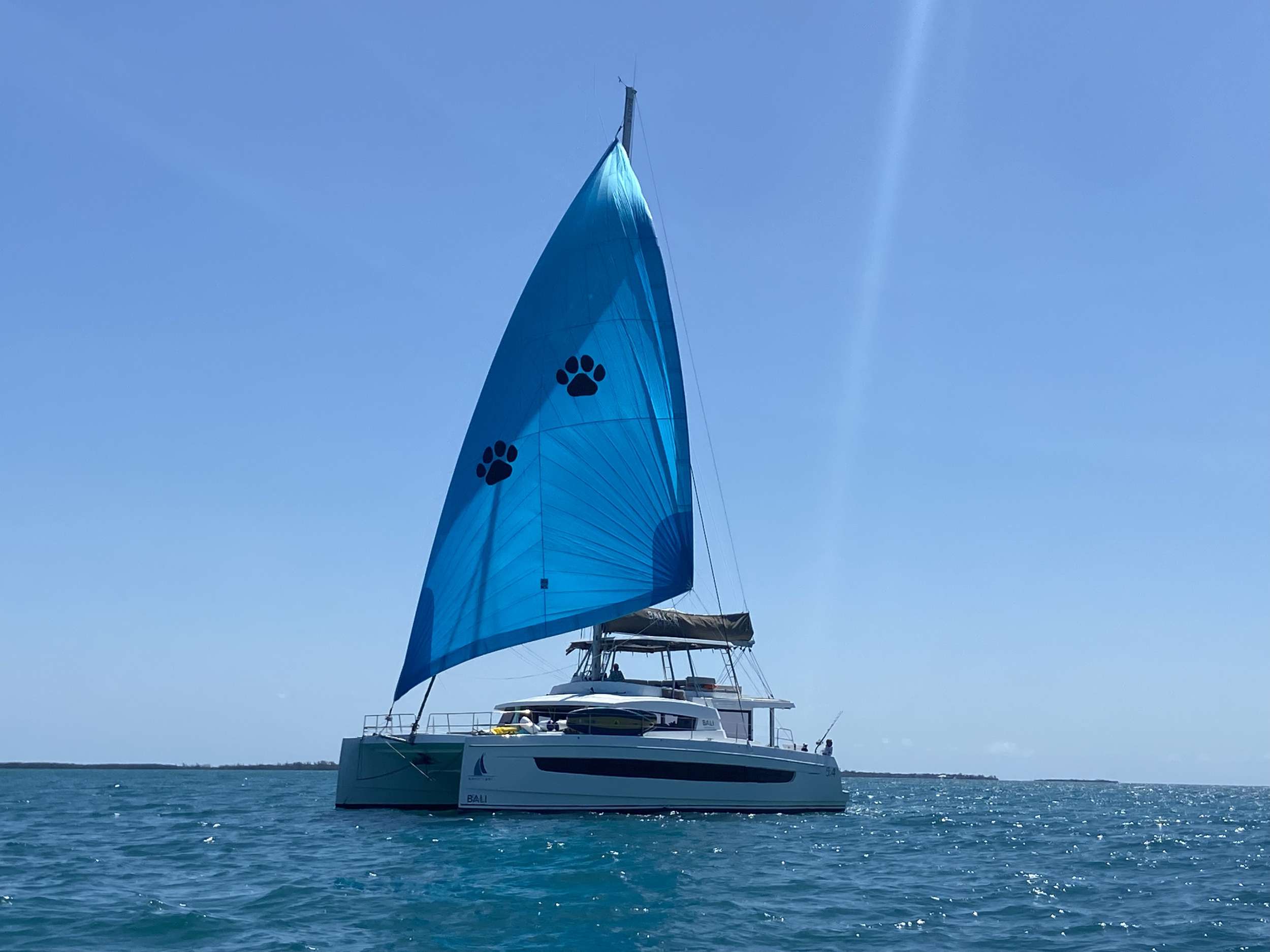 Nauti Dogs Crewed Bali 5.4 Catamaran Charters Sailing the Exumas.