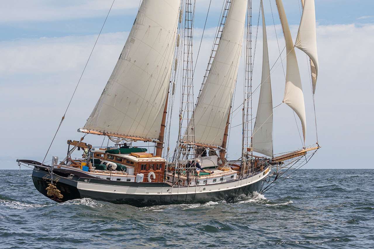 Tree of Life Crewed Schooner Charter Sailing Maine